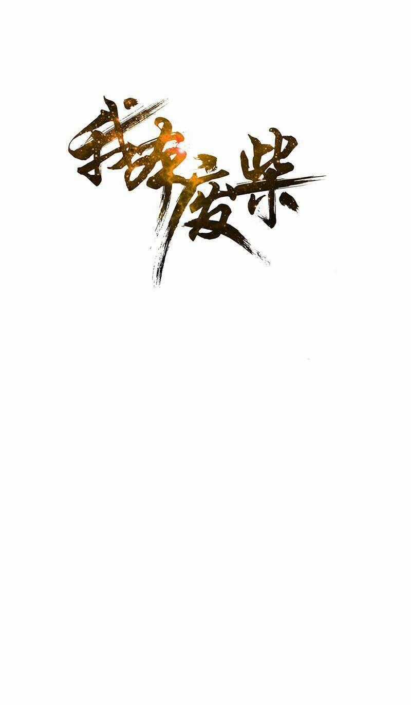 Ta Là Phế Vật - Chapter 211 - Trang 2