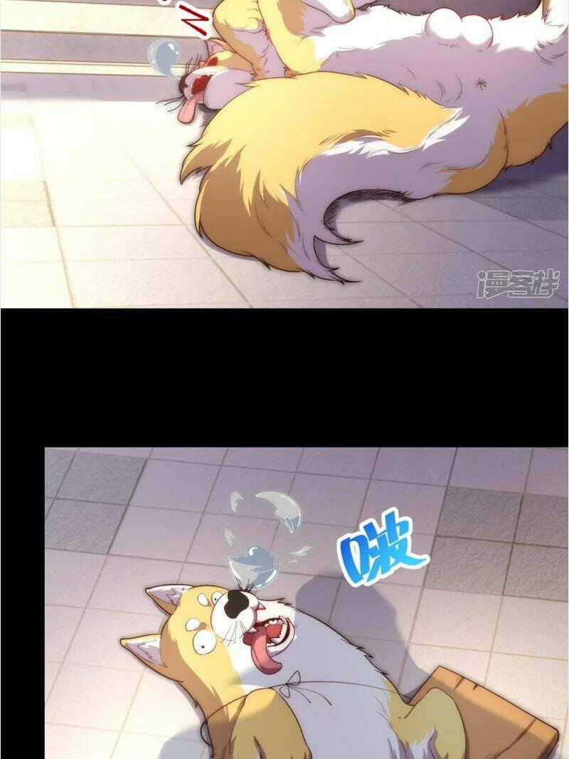 Ta Là Thương Thiên - Chapter 22 - Trang 2