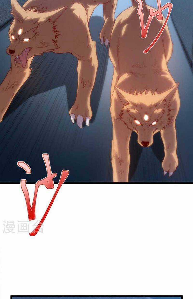 Ta Liều Mạng Mạnh Lên - Chapter 3 - Trang 30