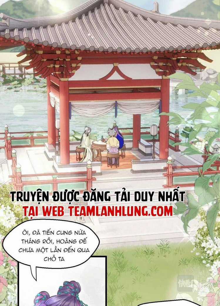 Ta Live Stream Trong Lãnh Cung - Chapter 5 - Trang 4