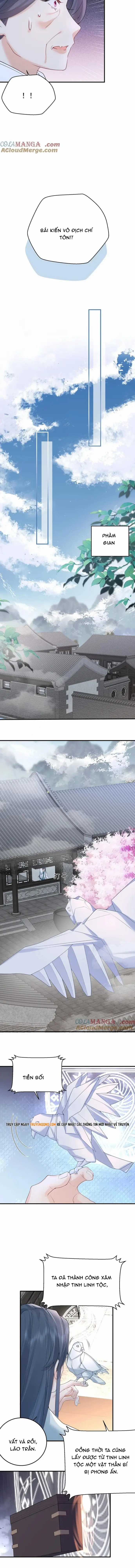 Ta Vô Địch Lúc Nào - Chapter 313 - Trang 4