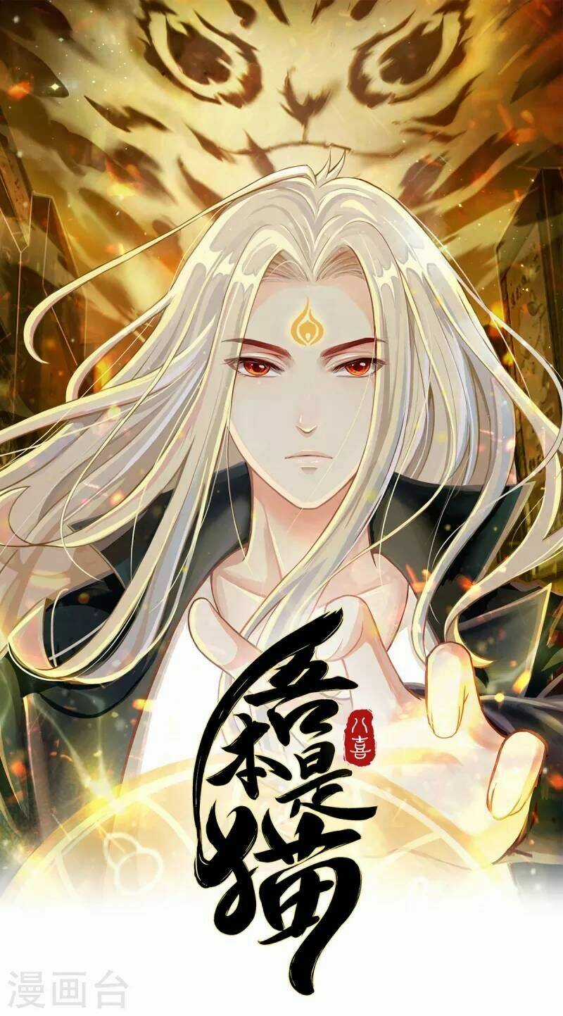 Ta Vốn Là Mèo - Chapter 1 - Trang 1