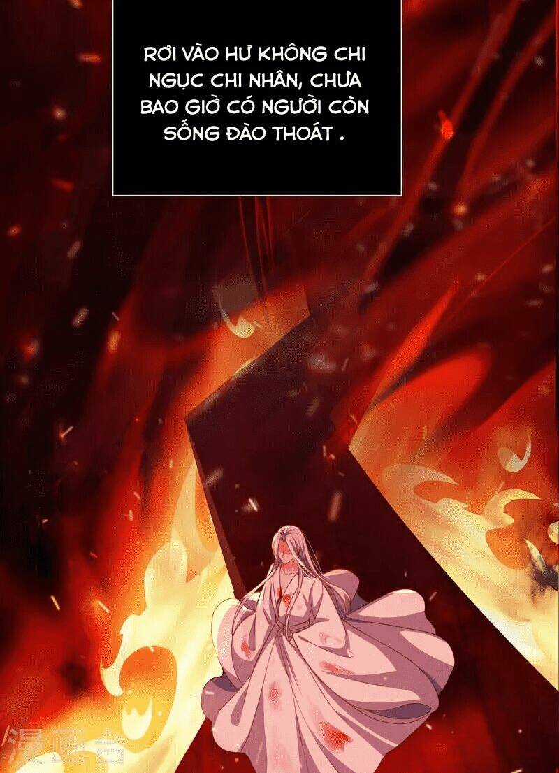 Ta Vốn Là Mèo - Chapter 1 - Trang 54