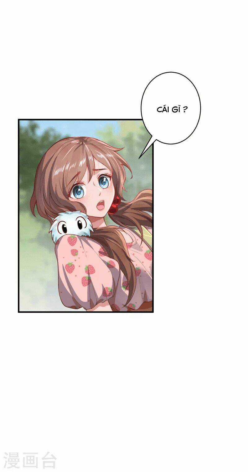 Ta Vốn Là Mèo - Chapter 10 - Trang 1