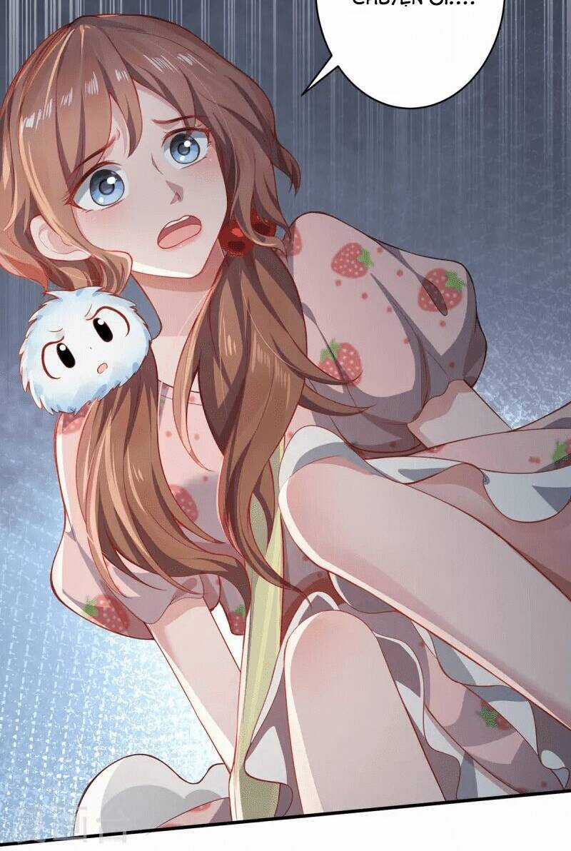 Ta Vốn Là Mèo - Chapter 10 - Trang 4