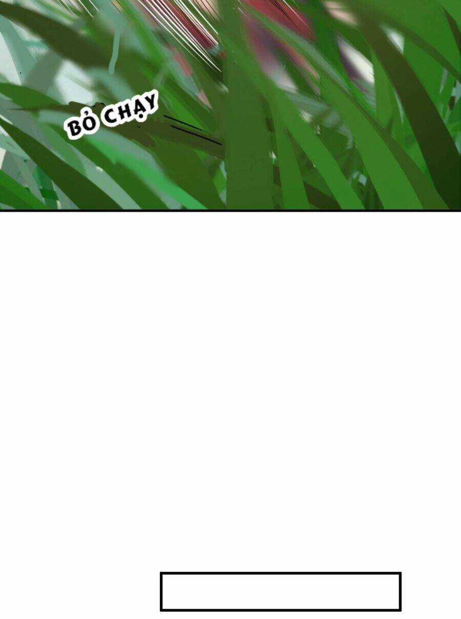 Ta Vốn Là Mèo - Chapter 11 - Trang 5