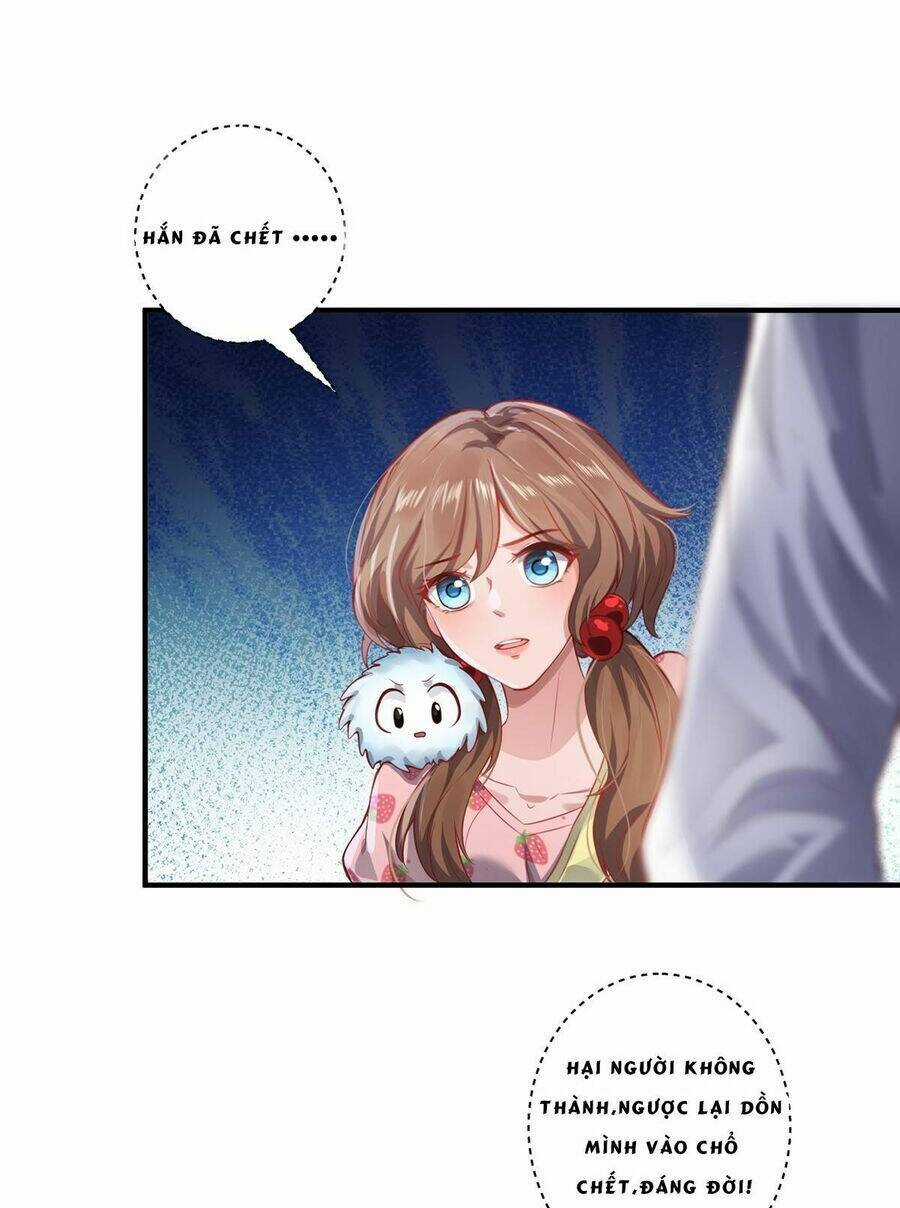 Ta Vốn Là Mèo - Chapter 11 - Trang 6