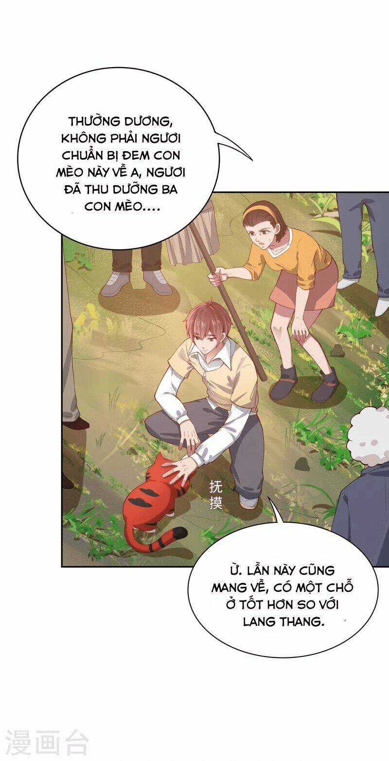 Ta Vốn Là Mèo - Chapter 2 - Trang 11