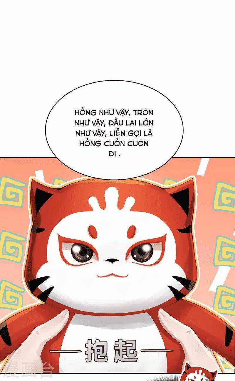 Ta Vốn Là Mèo - Chapter 2 - Trang 16