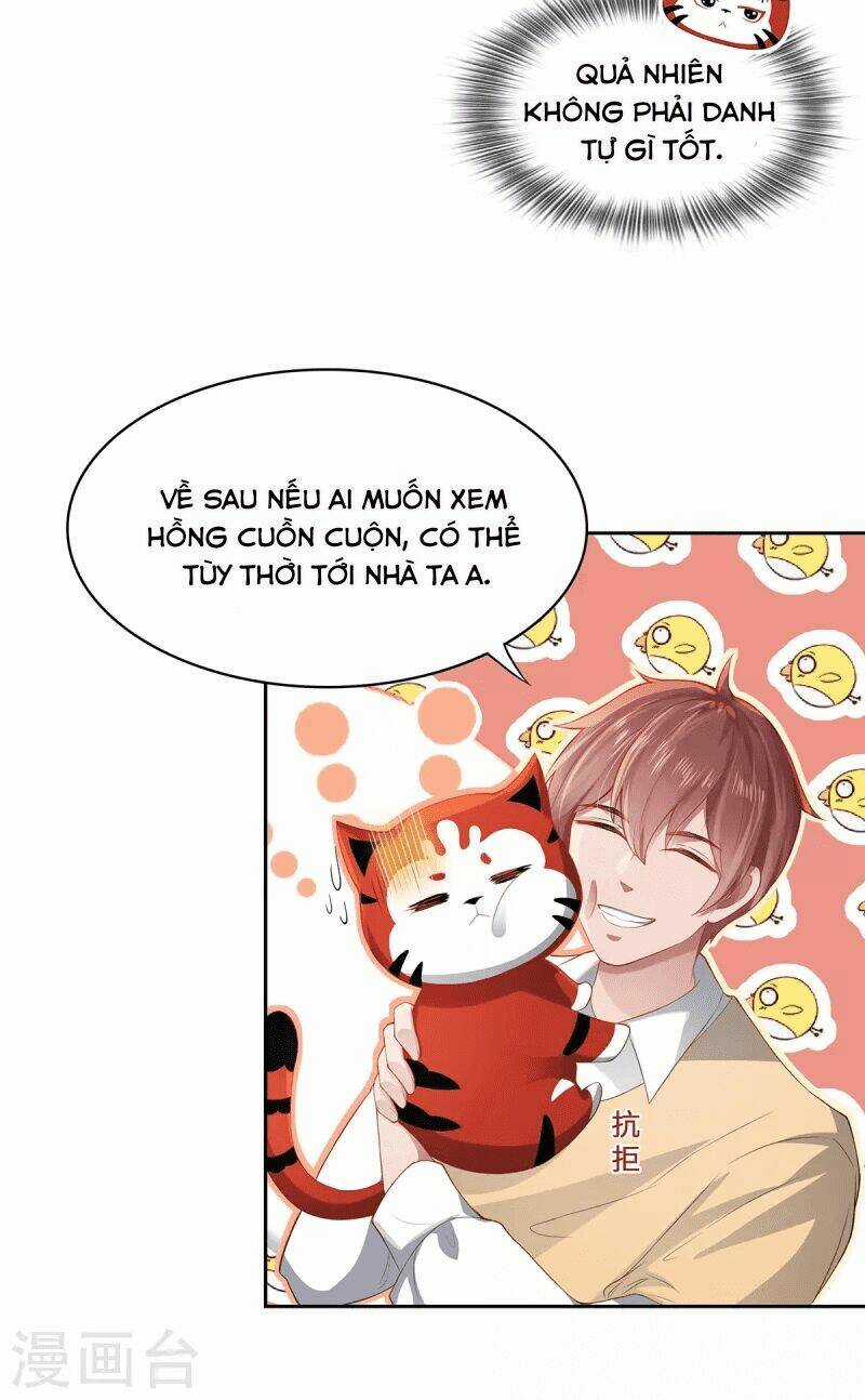 Ta Vốn Là Mèo - Chapter 2 - Trang 17