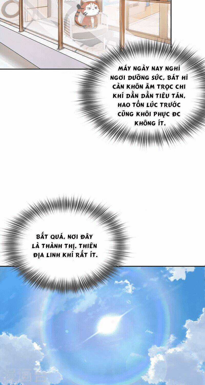 Ta Vốn Là Mèo - Chapter 2 - Trang 23