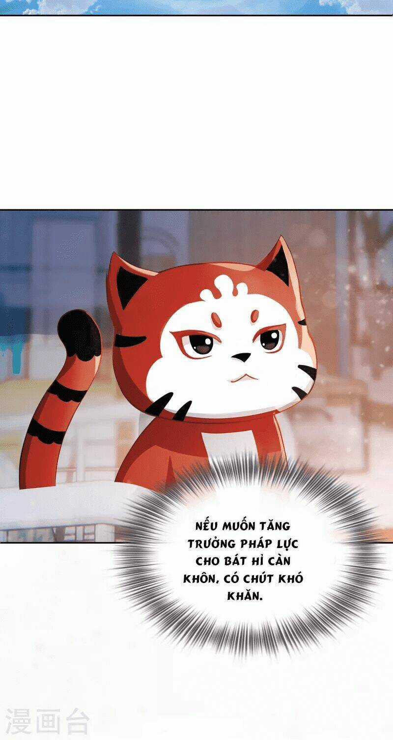 Ta Vốn Là Mèo - Chapter 2 - Trang 24