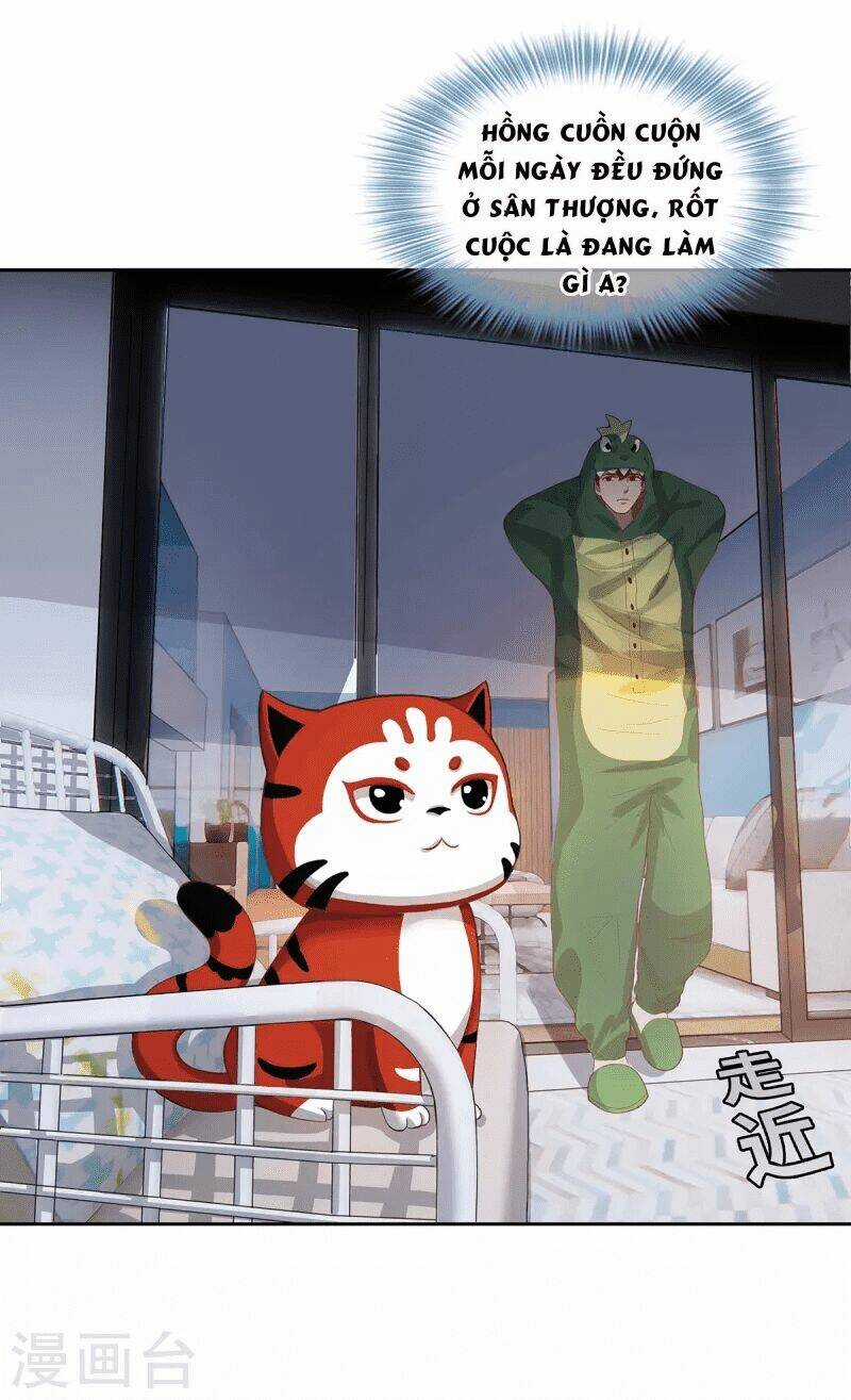 Ta Vốn Là Mèo - Chapter 2 - Trang 25