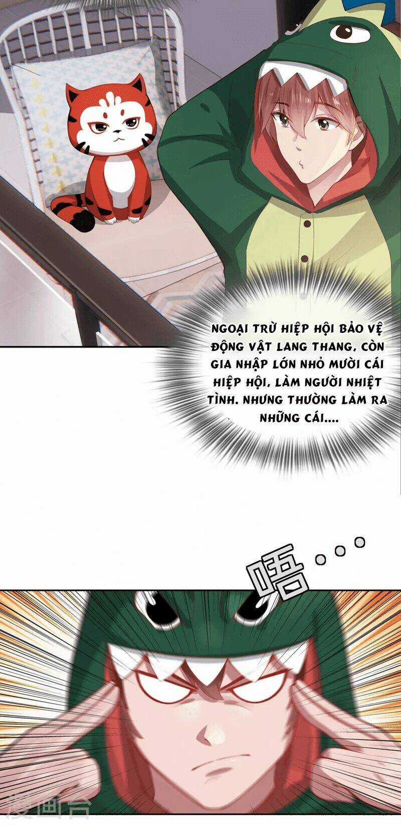 Ta Vốn Là Mèo - Chapter 2 - Trang 28