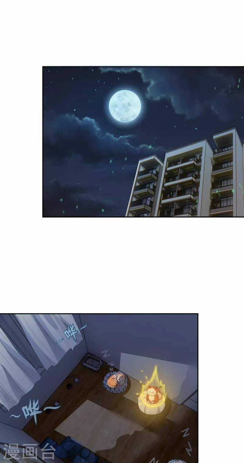 Ta Vốn Là Mèo - Chapter 2 - Trang 36