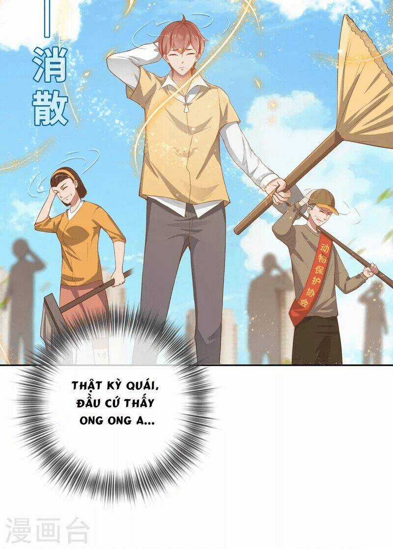 Ta Vốn Là Mèo - Chapter 2 - Trang 5