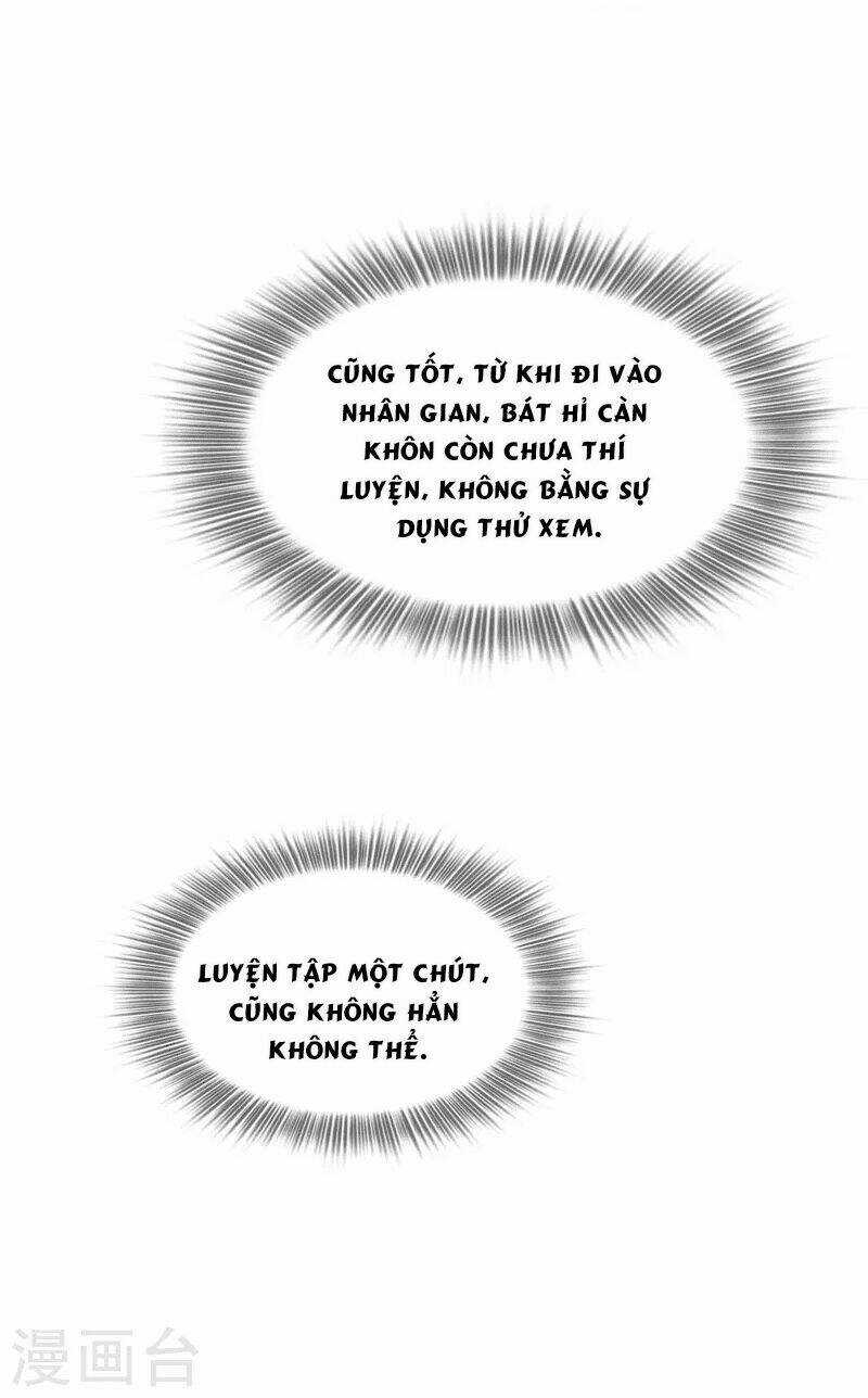 Ta Vốn Là Mèo - Chapter 2 - Trang 43