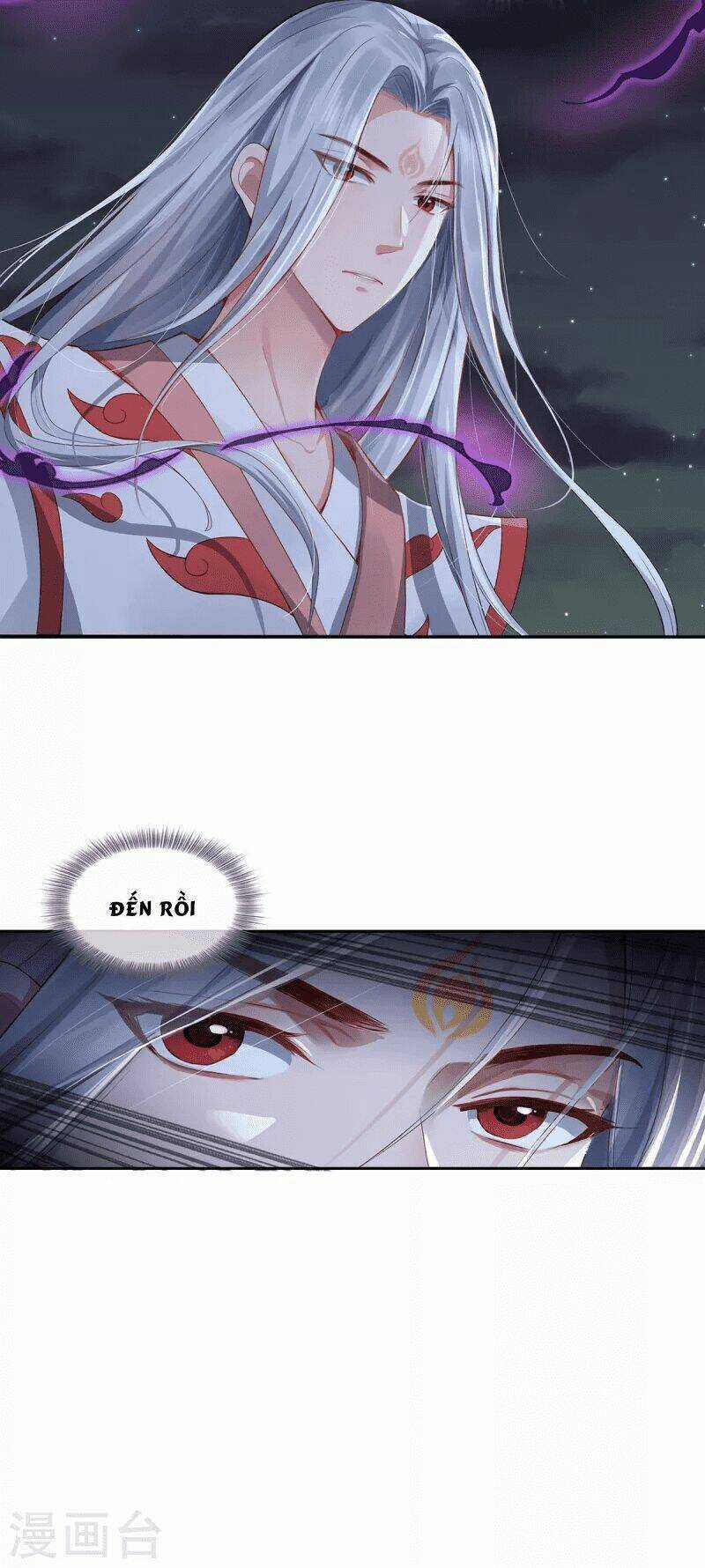 Ta Vốn Là Mèo - Chapter 2 - Trang 46