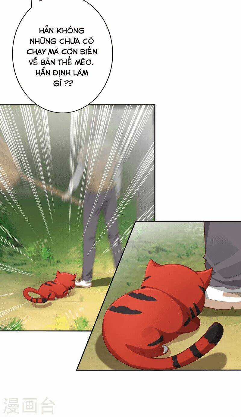 Ta Vốn Là Mèo - Chapter 2 - Trang 8