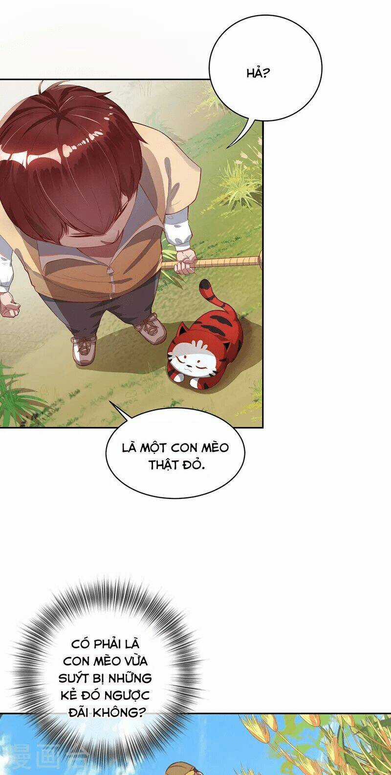 Ta Vốn Là Mèo - Chapter 2 - Trang 9