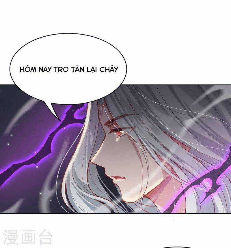 Ta Vốn Là Mèo - Chapter 3 - Trang 5