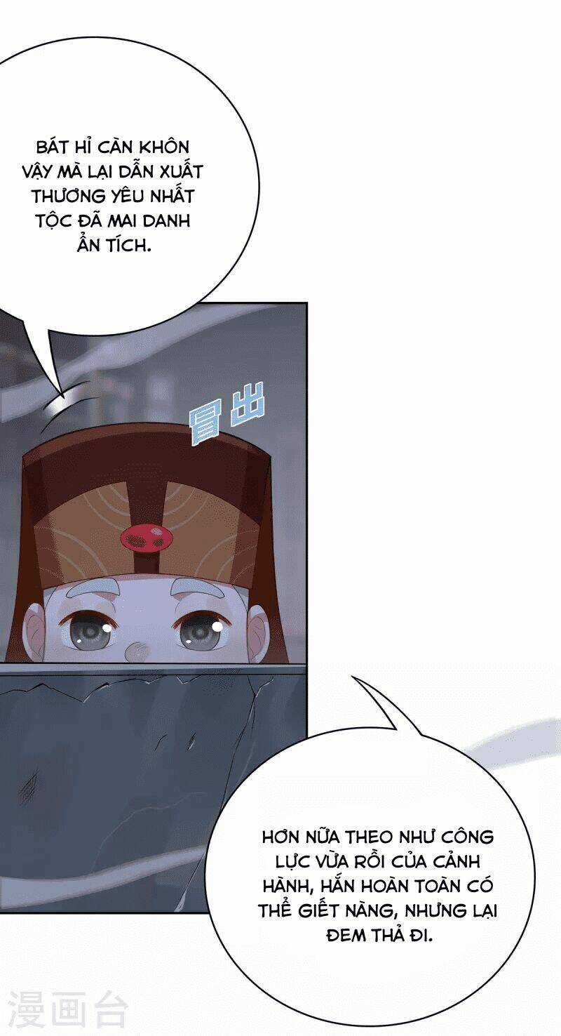 Ta Vốn Là Mèo - Chapter 4 - Trang 29