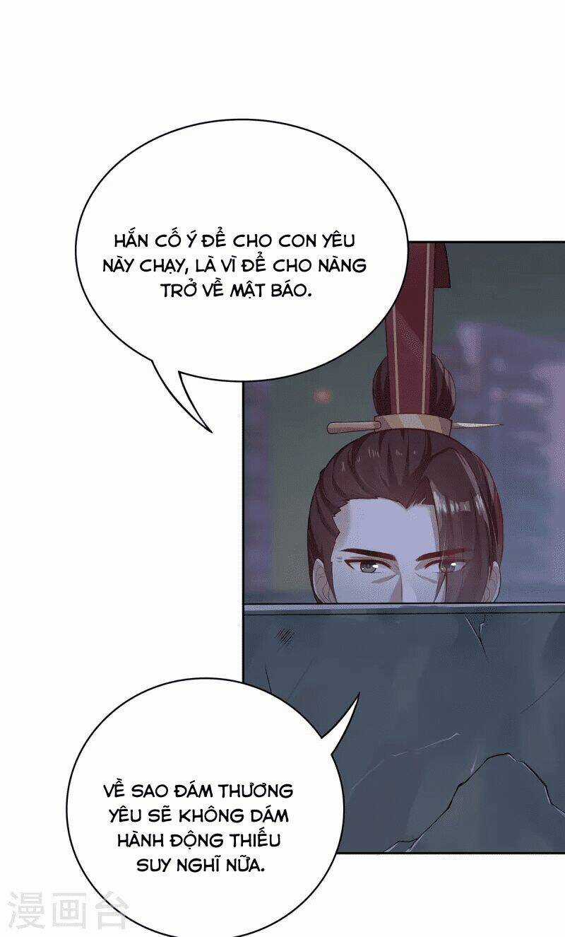 Ta Vốn Là Mèo - Chapter 4 - Trang 30