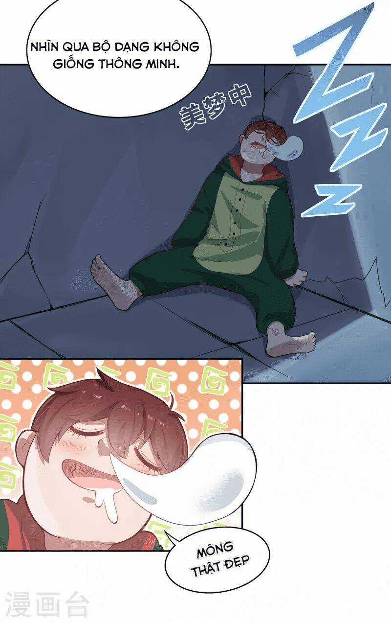 Ta Vốn Là Mèo - Chapter 4 - Trang 33