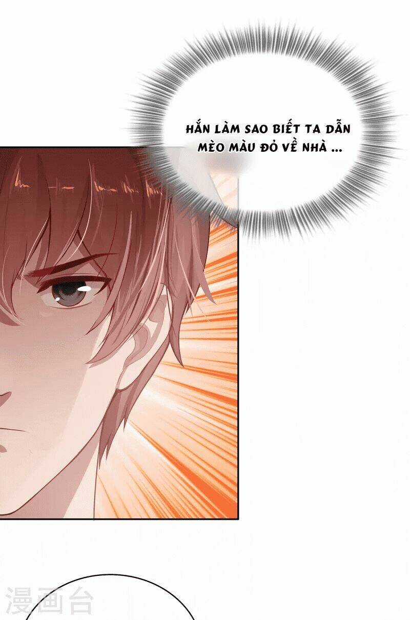 Ta Vốn Là Mèo - Chapter 4 - Trang 53