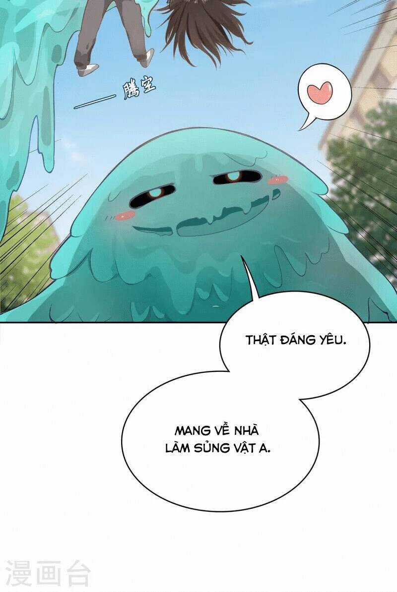 Ta Vốn Là Mèo - Chapter 5 - Trang 12