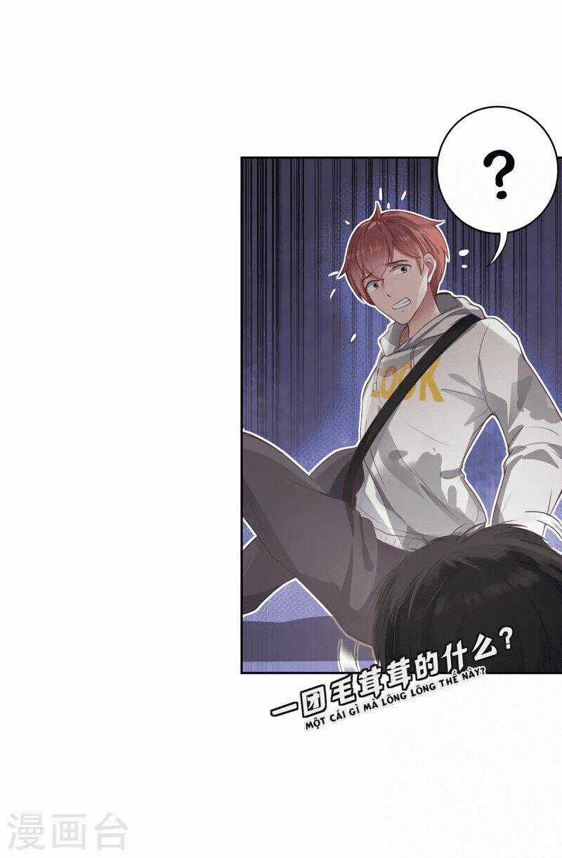 Ta Vốn Là Mèo - Chapter 5 - Trang 7