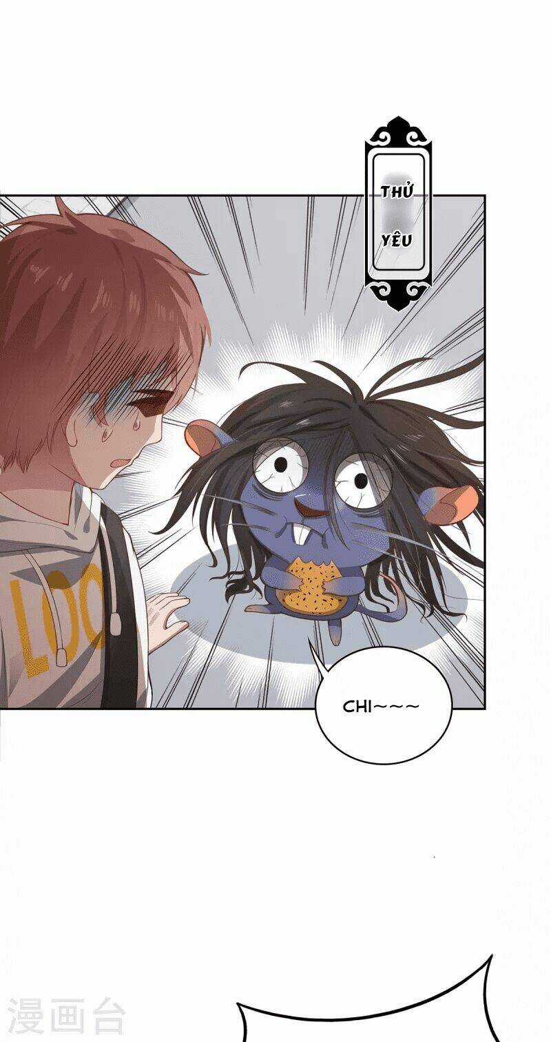 Ta Vốn Là Mèo - Chapter 5 - Trang 8