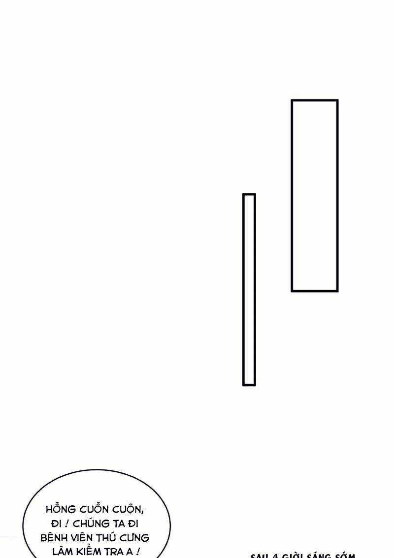 Ta Vốn Là Mèo - Chapter 6 - Trang 33