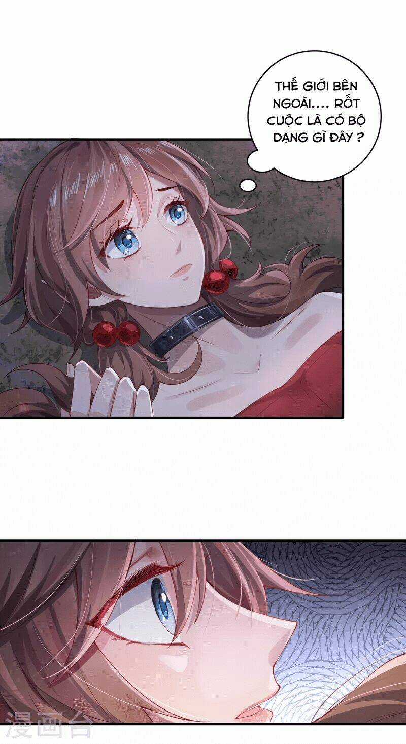 Ta Vốn Là Mèo - Chapter 7 - Trang 47