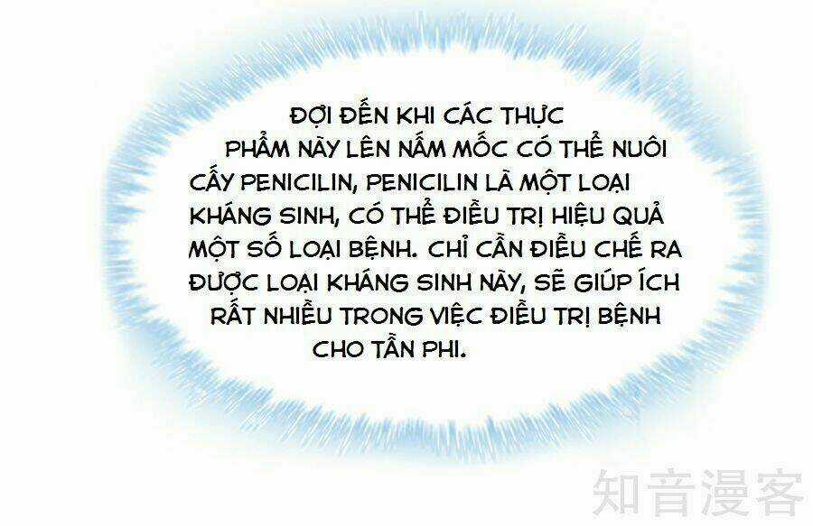 Tà Vương Thần Phi: Y Thủ Che Thiên - Chapter 14 - Trang 8