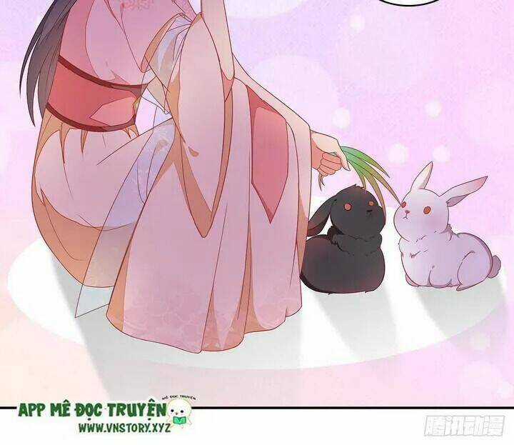 Tà Vương Thần Phi: Y Thủ Che Thiên - Chapter 17 - Trang 23