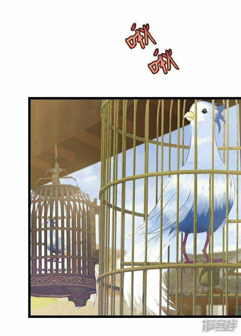 Tà Vương Thần Phi: Y Thủ Che Thiên - Chapter 4 - Trang 3