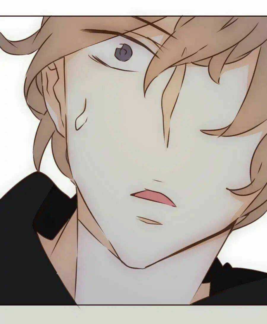 Tai Cá Voi - Chapter 1 - Trang 24