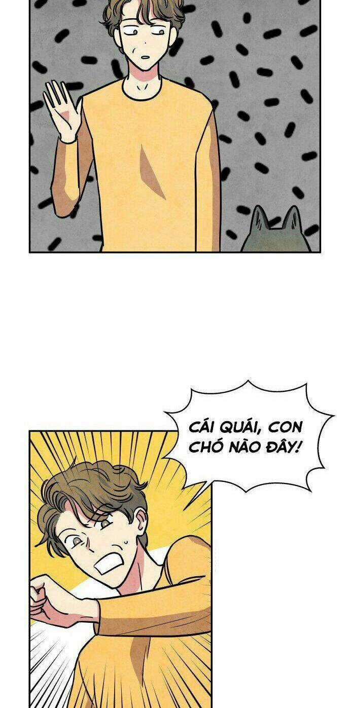 Tai Sói Và Mũ Đỏ - Chapter 30 - Trang 27