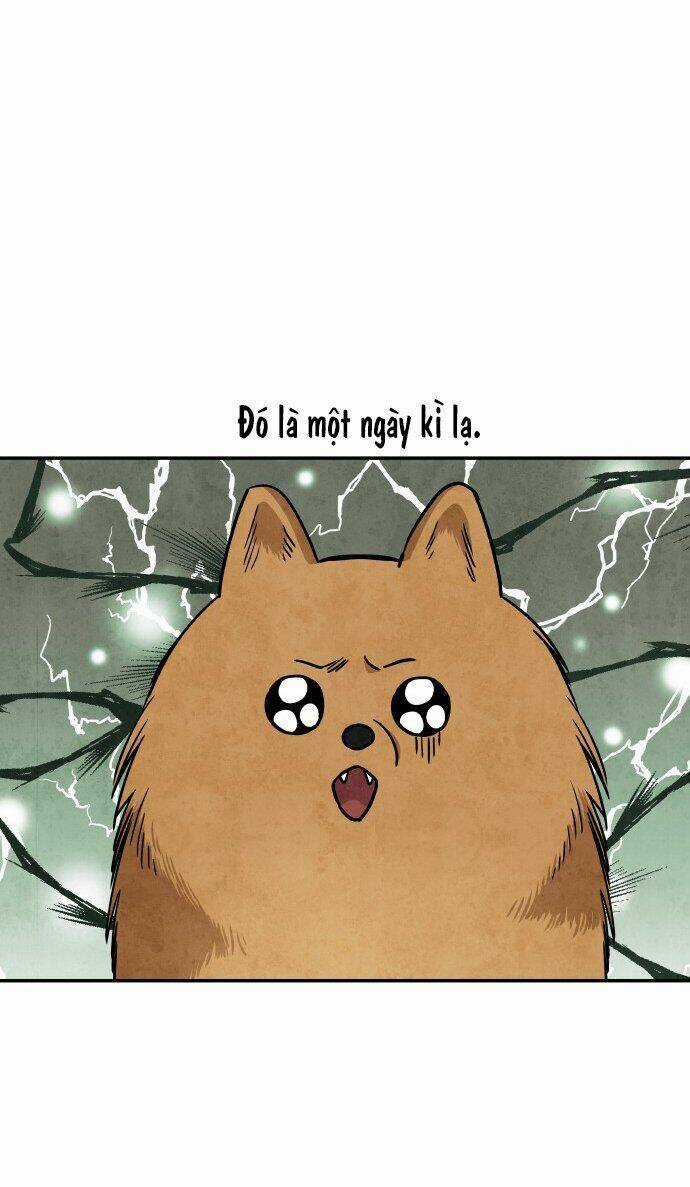 Tai Sói Và Mũ Đỏ - Chapter 31 - Trang 9