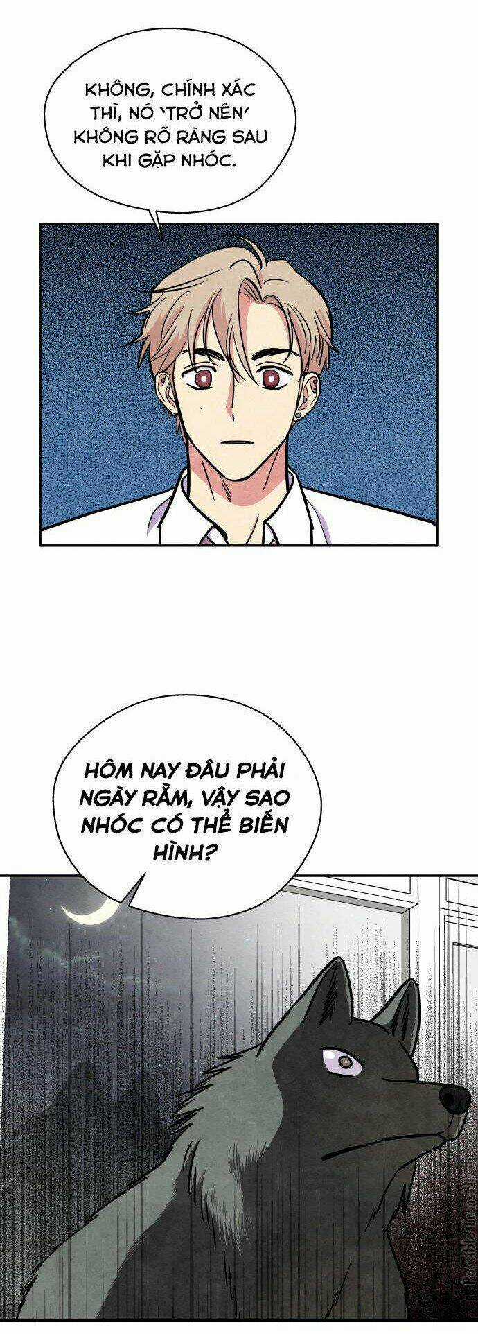 Tai Sói Và Mũ Đỏ - Chapter 36 - Trang 25