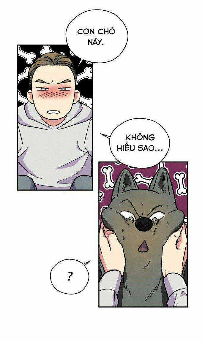 Tai Sói Và Mũ Đỏ - Chapter 38 - Trang 22