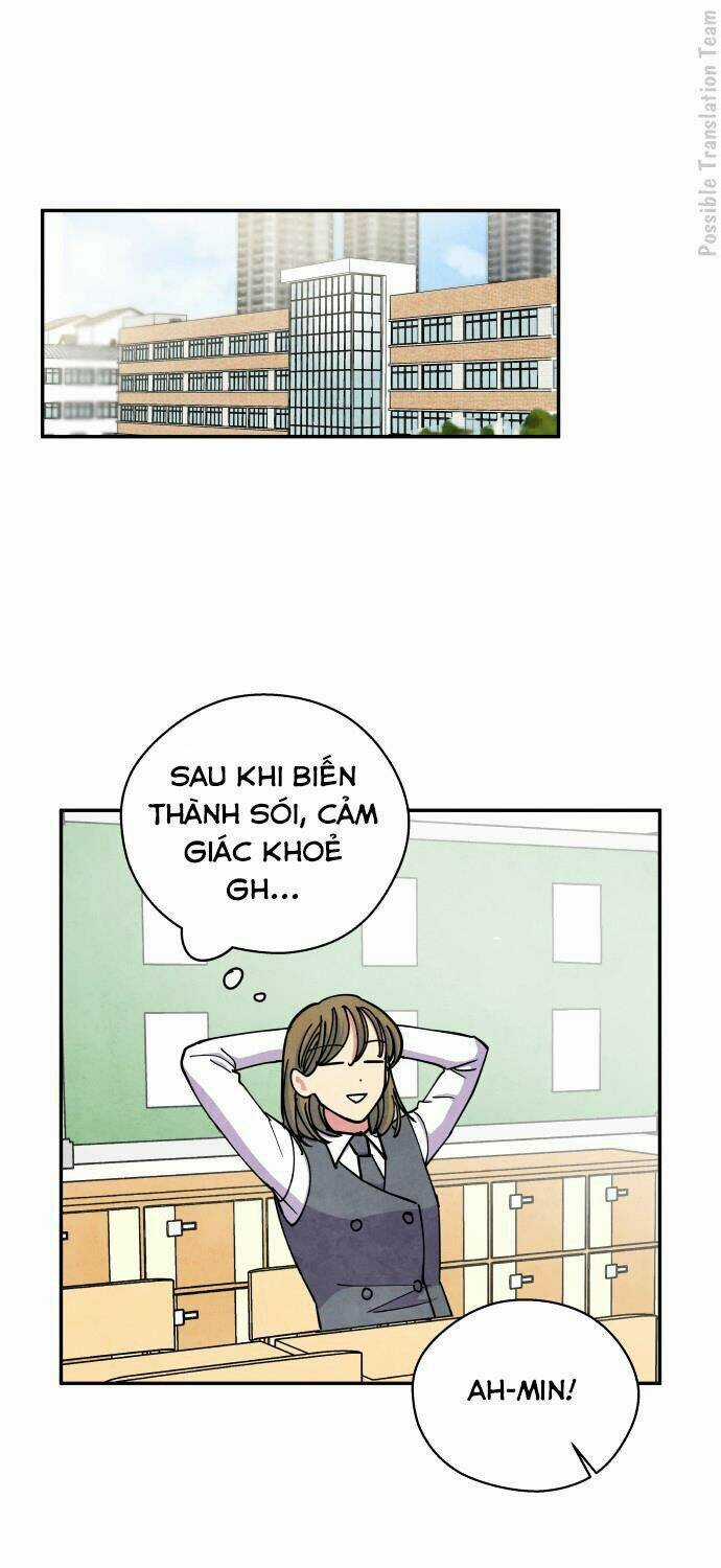 Tai Sói Và Mũ Đỏ - Chapter 39 - Trang 3