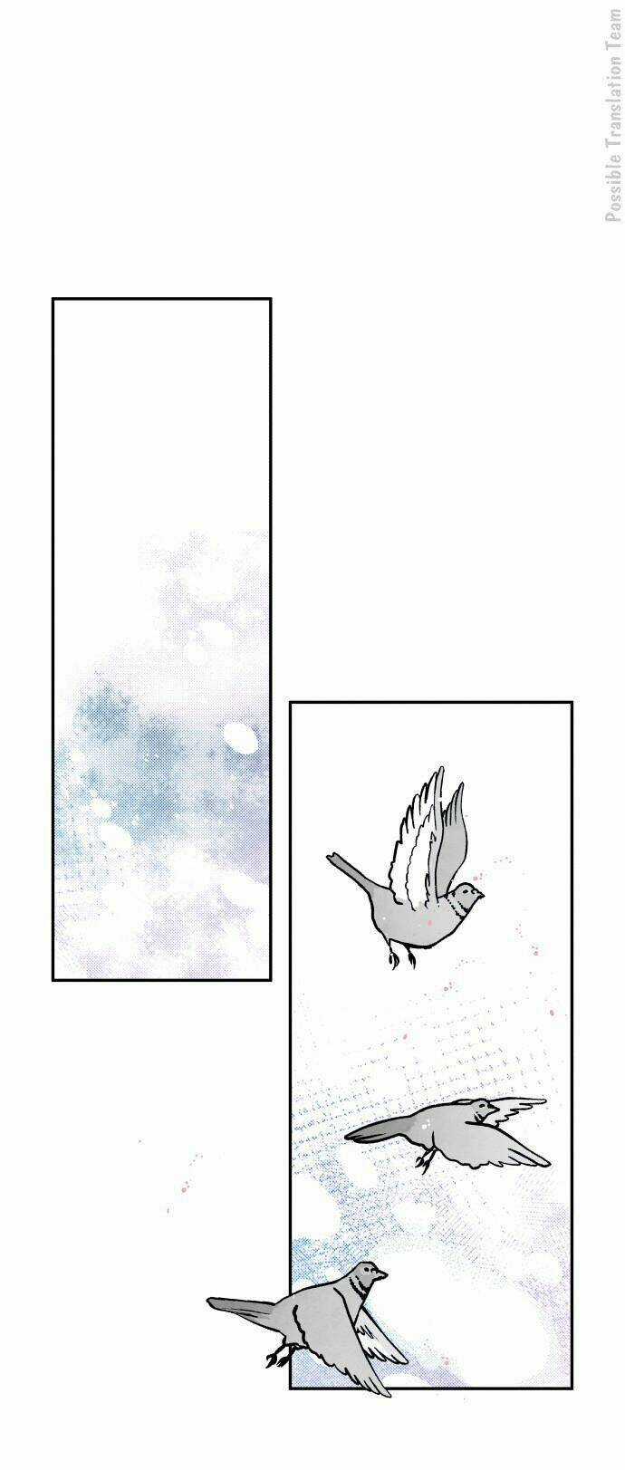 Tai Sói Và Mũ Đỏ - Chapter 40 - Trang 3