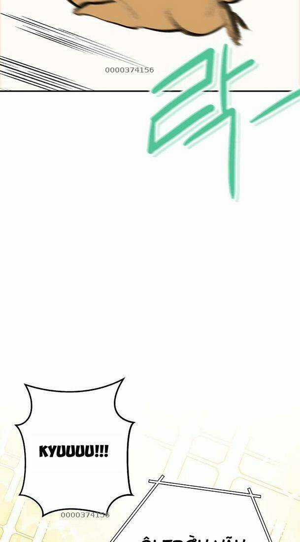 Tái Thiết Hầm Ngục - Chapter 142 - Trang 20