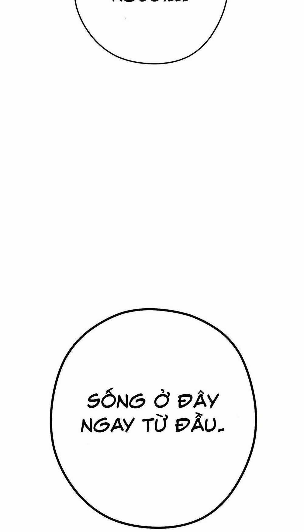 Tái Thiết Hầm Ngục - Chapter 156 - Trang 38