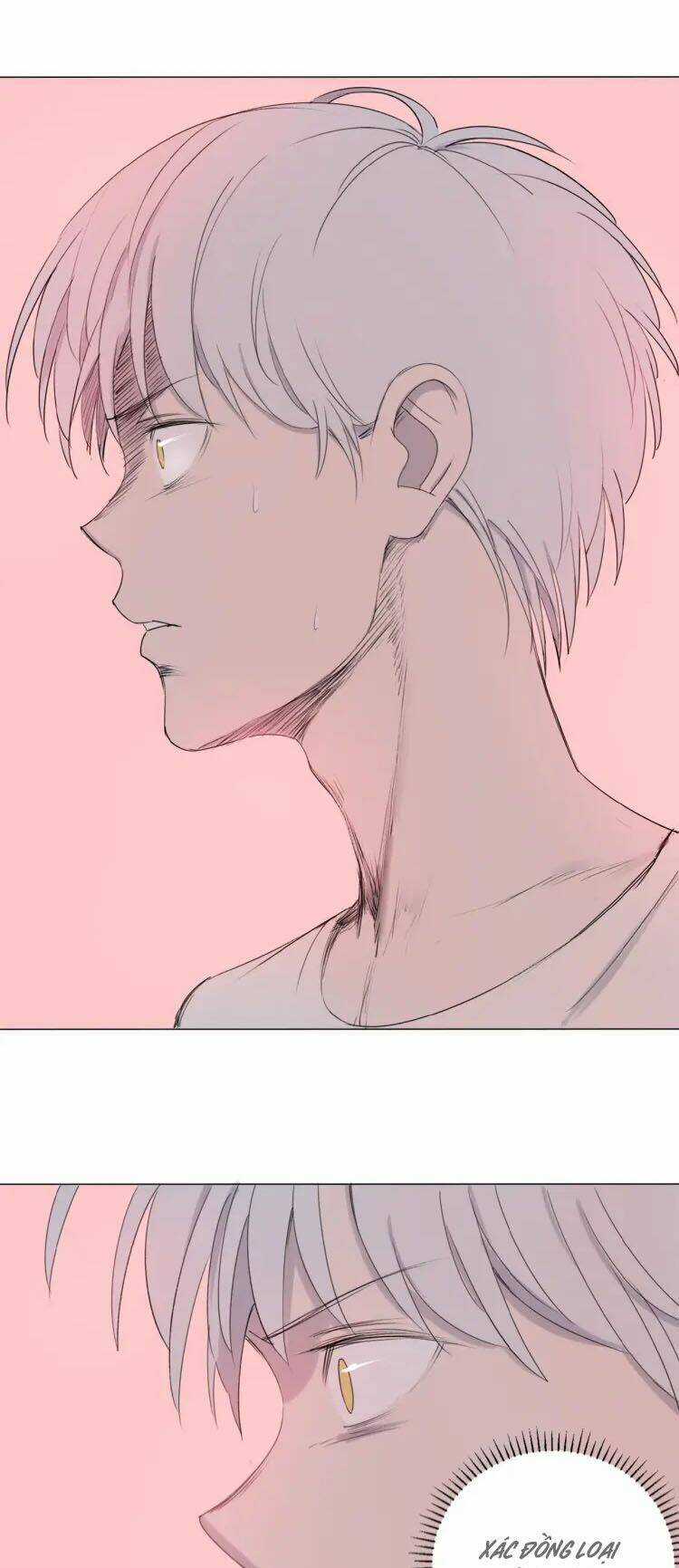 Tâm Vũ - Chapter 7 - Trang 21