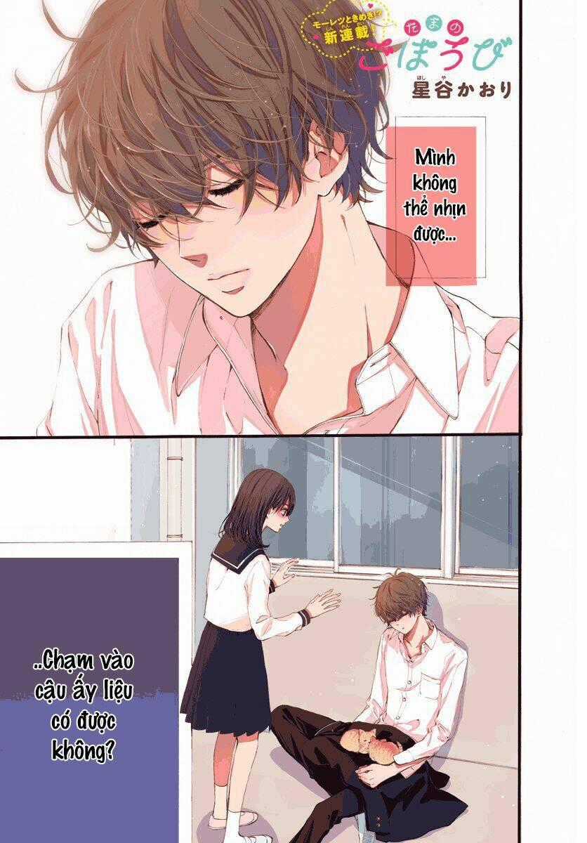 Tama No Gohoubi - Chapter 1 - Trang 1