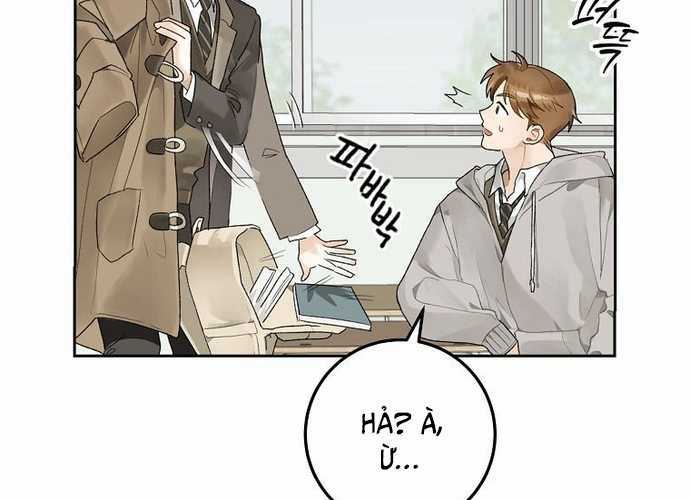 Tân Binh Triệu Đô - Chapter 3 - Trang 17