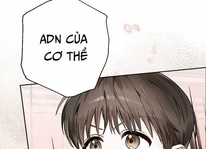 Tân Binh Triệu Đô - Chapter 6 - Trang 145